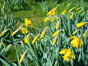 Felley Priory 6-3-12